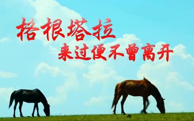 &#20061;&#28216;&#32593;&#39029;&#29256;&#45;&#20061;&#28216;&#65288;&#20013;&#22269;&#65289;